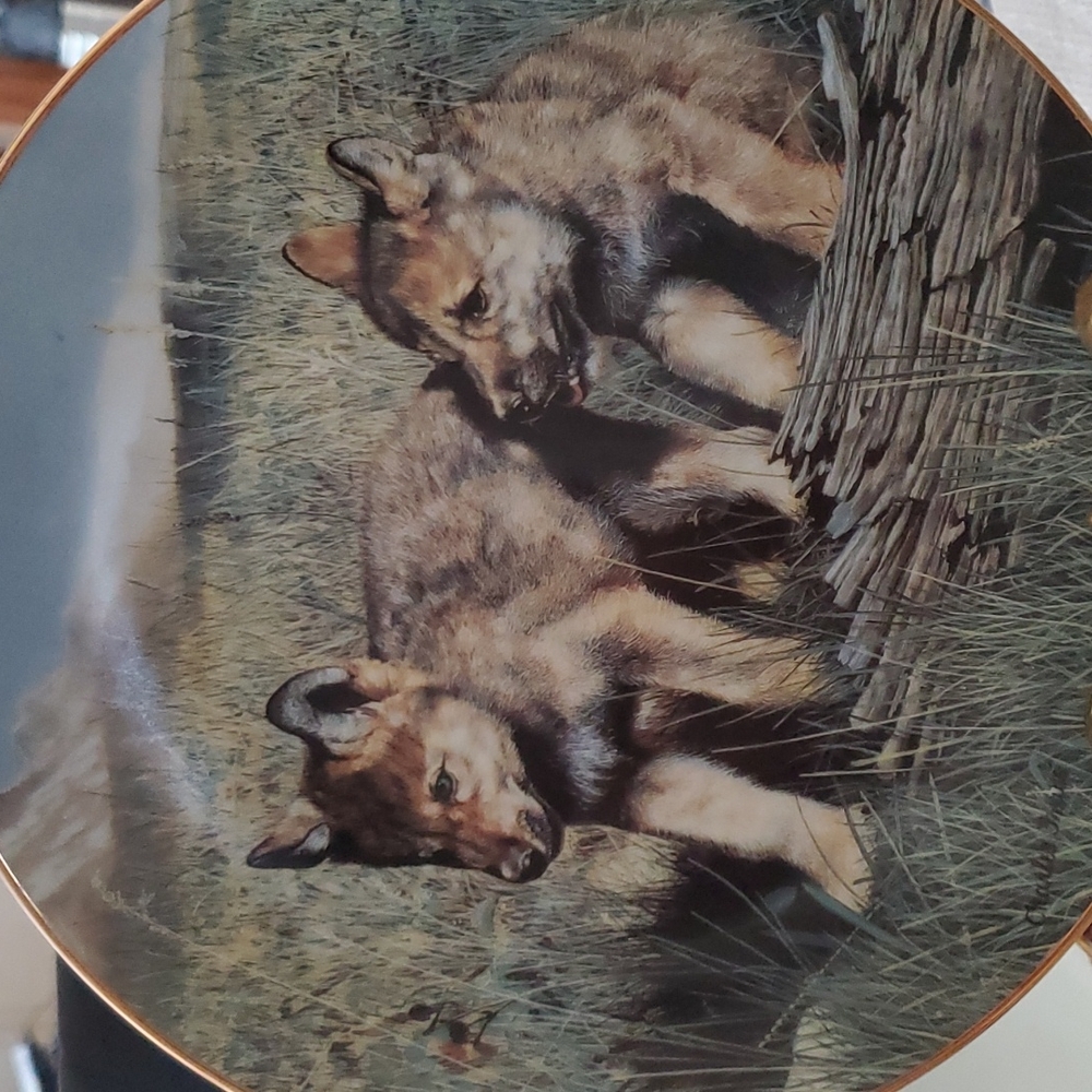 VINTAGE "PALS" COLLECTOR'S PLATE BY CHARLES FRACE.#2262A